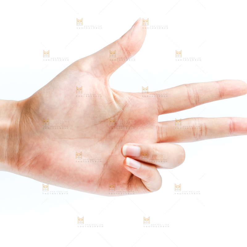 手的姿势