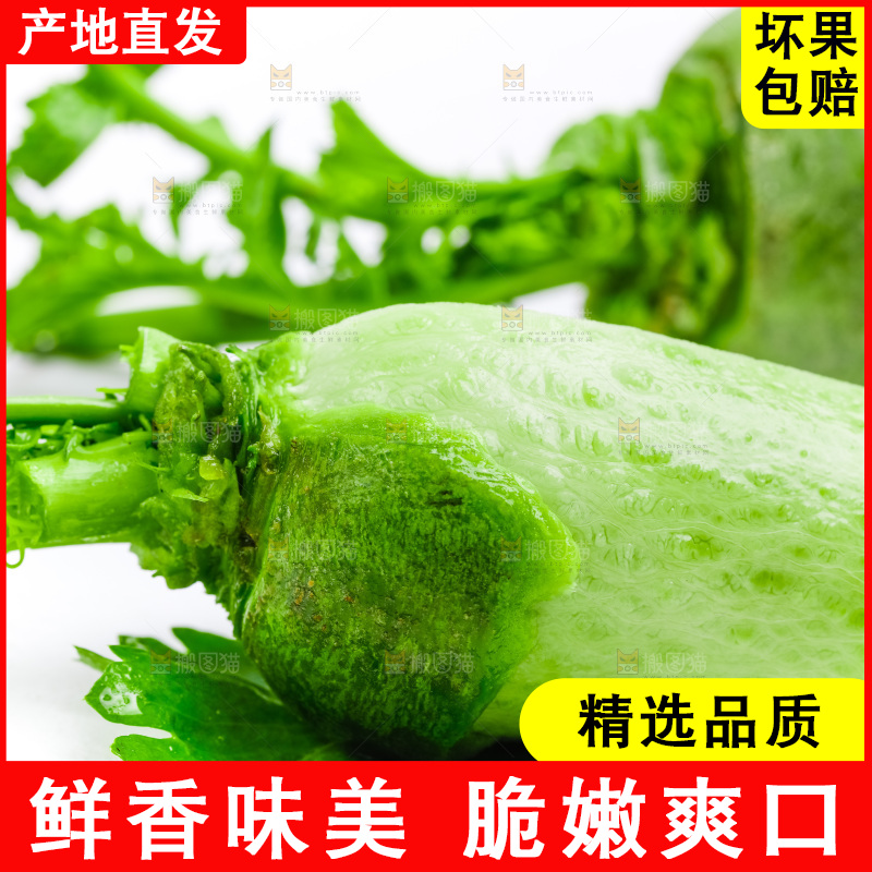 白底上放着绿萝卜