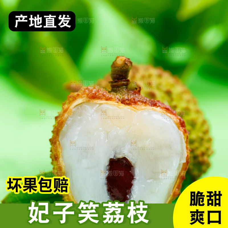 绿底上放着海南妃子笑