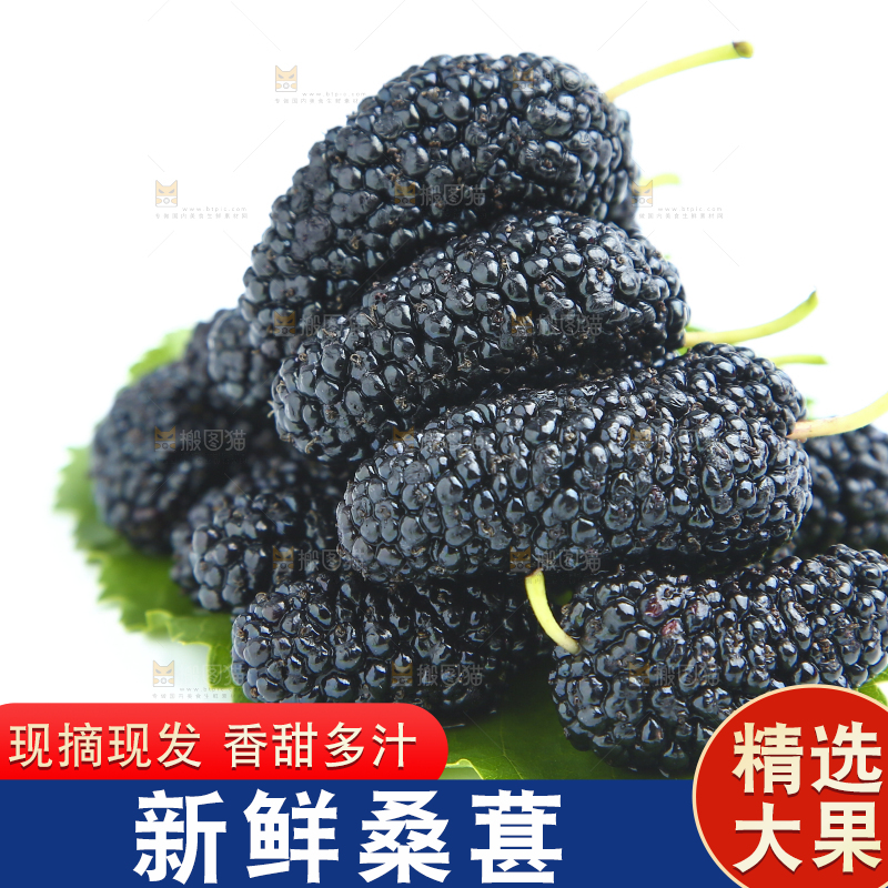 白底上的绿叶上放着一堆桑葚