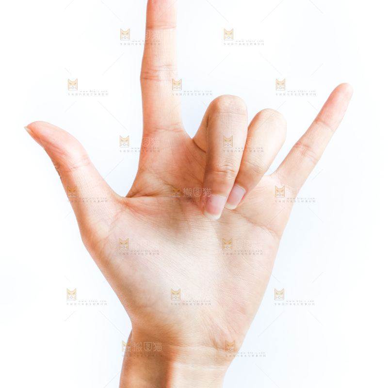 手的姿势