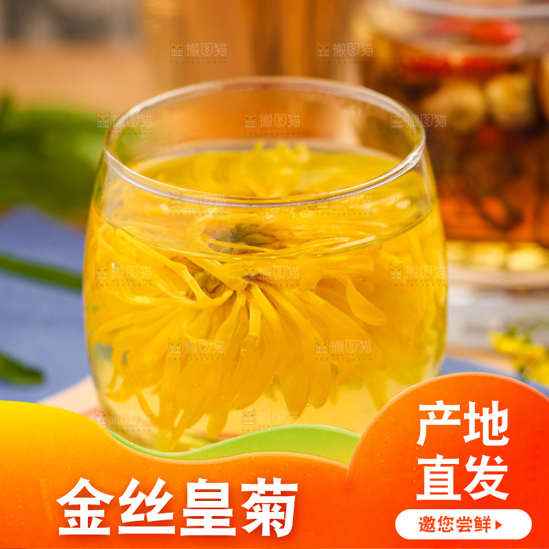 一杯金丝皇菊茶