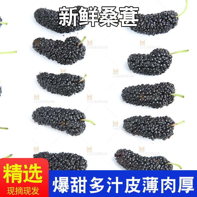 白底上摆列整齐的桑葚