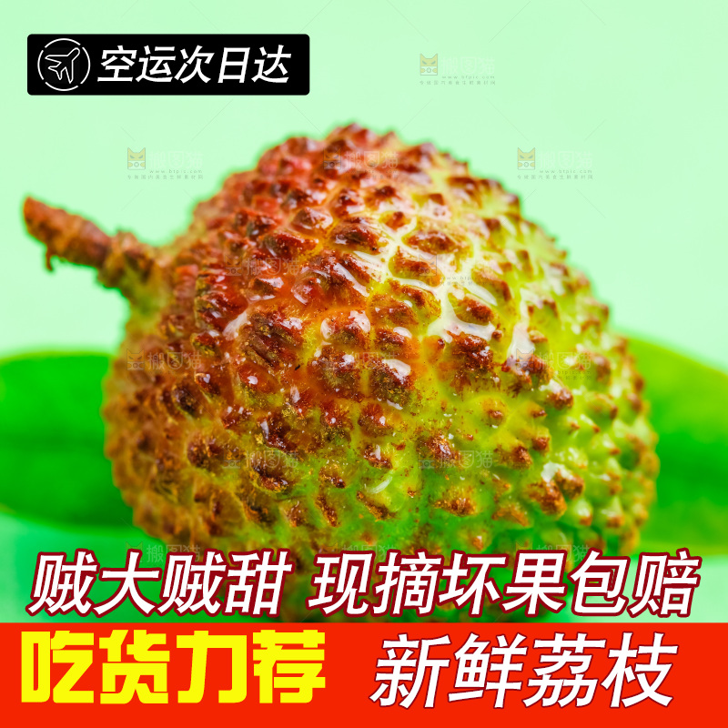 绿底上放着妃子笑荔枝