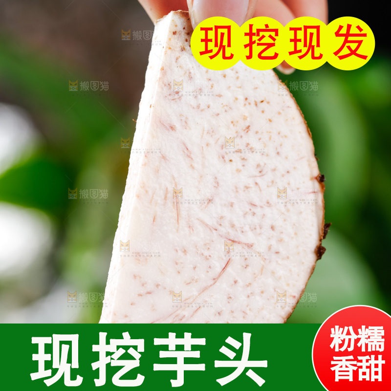 手上拿着槟榔芋切片