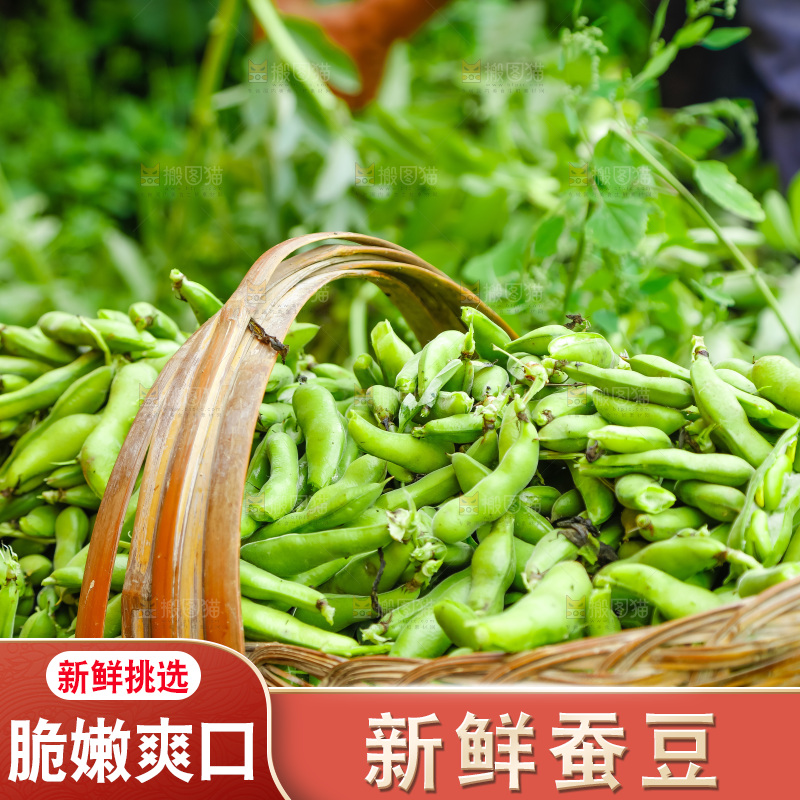 篮子里装着蚕豆