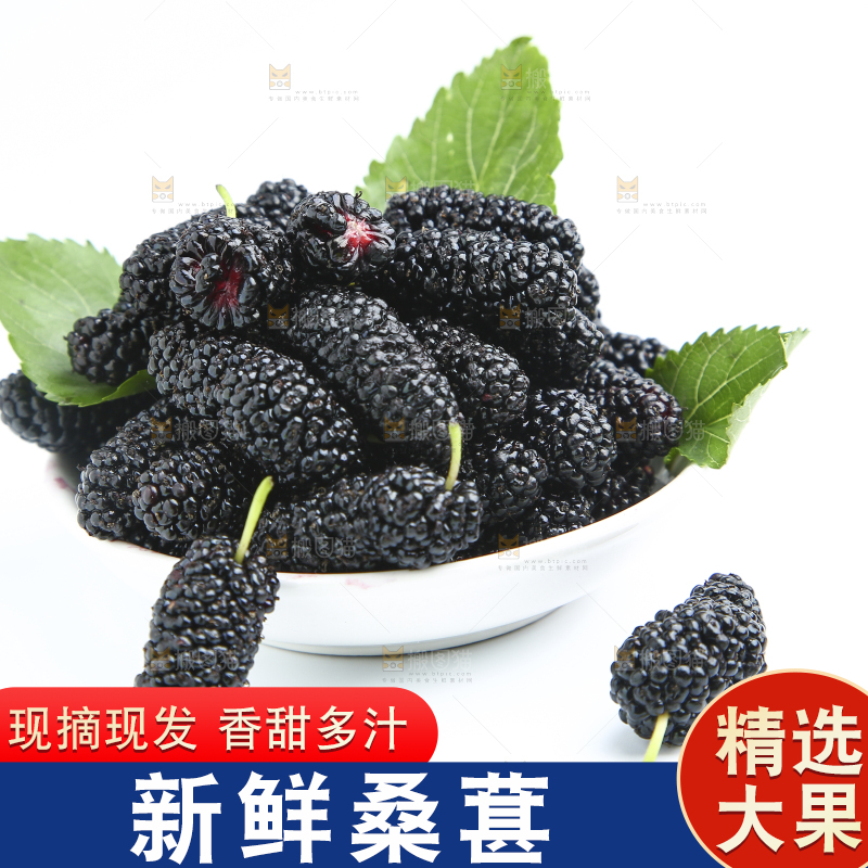 白底上放着一大盘桑葚