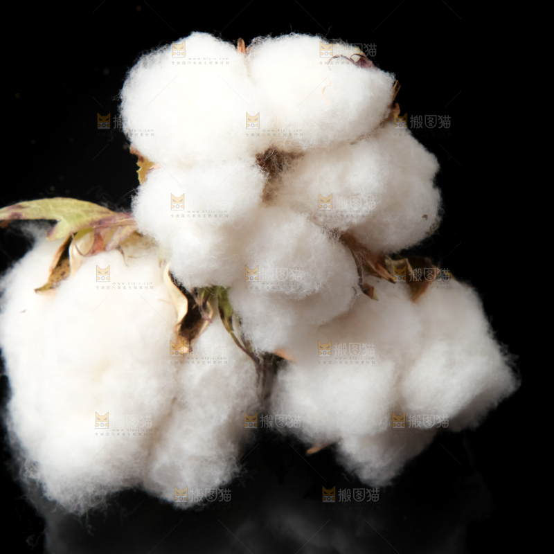 黑底上放着棉花