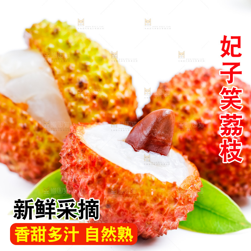 白底上放着海南妃子笑