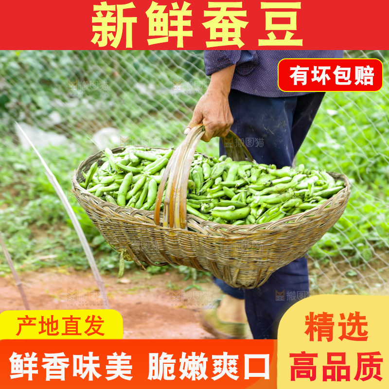 篮子里装着蚕豆
