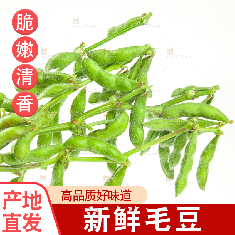 白底上的毛豆