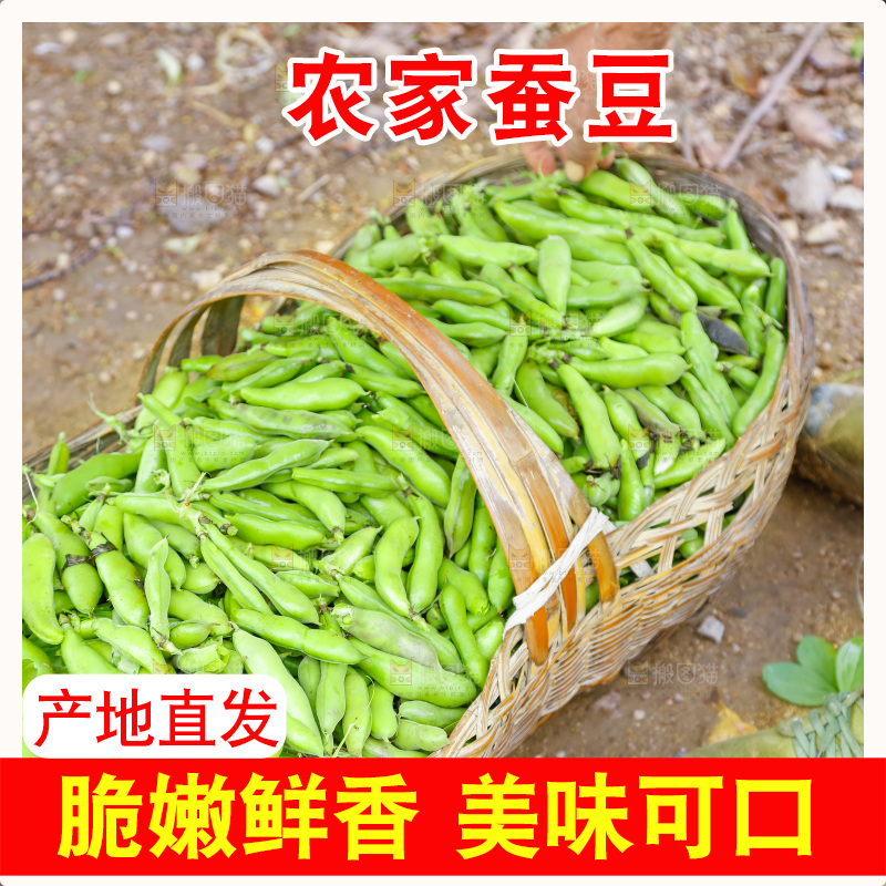 篮子里装着蚕豆