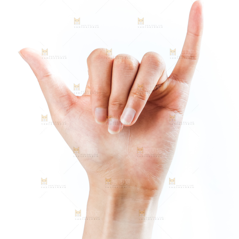 手的姿势