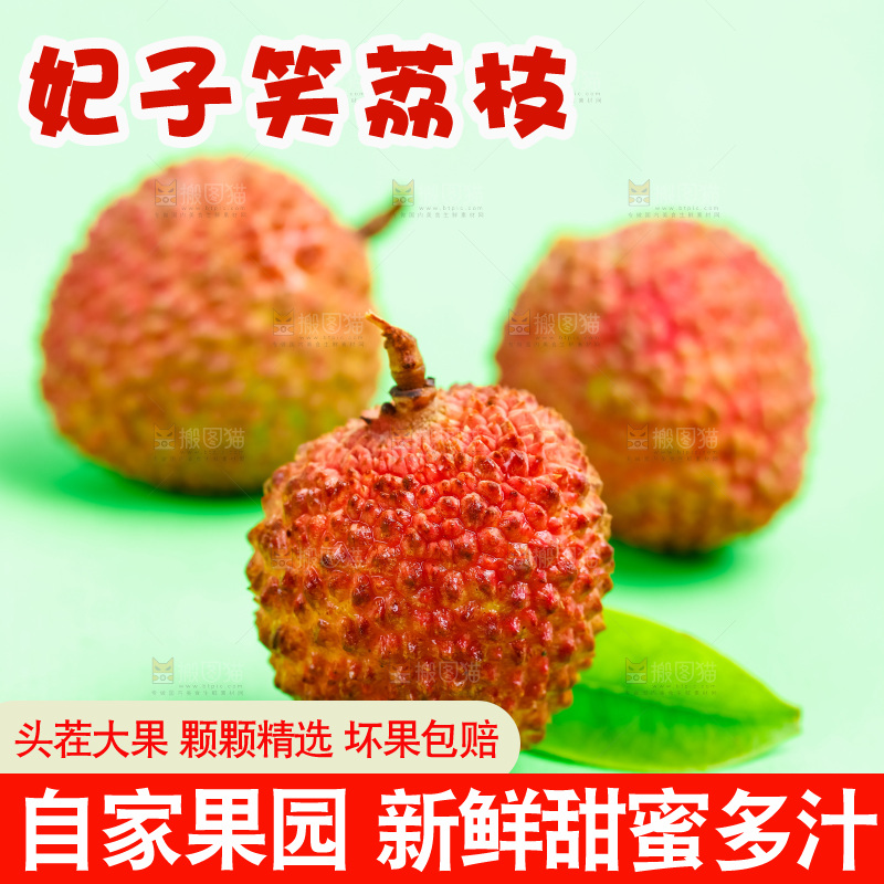 绿底上放着妃子笑荔枝