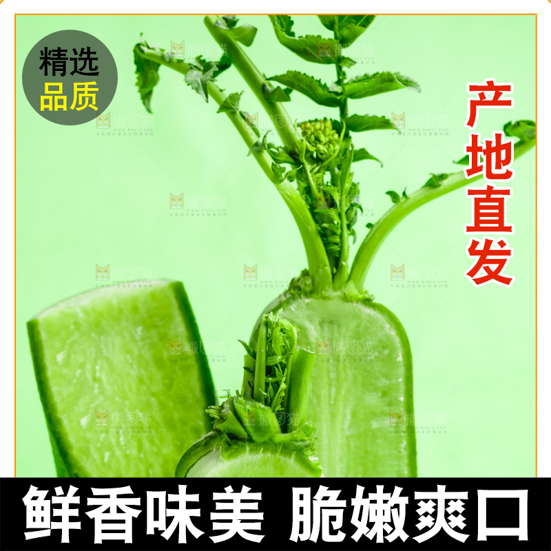 绿底上的青萝卜