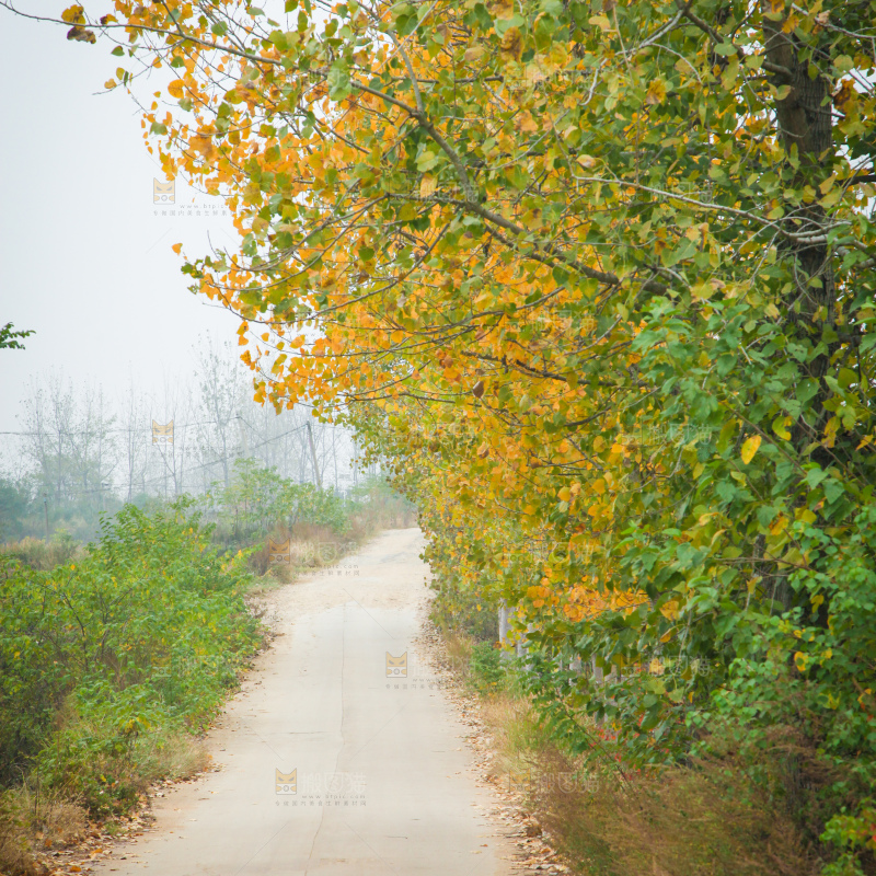 一条乡间道路