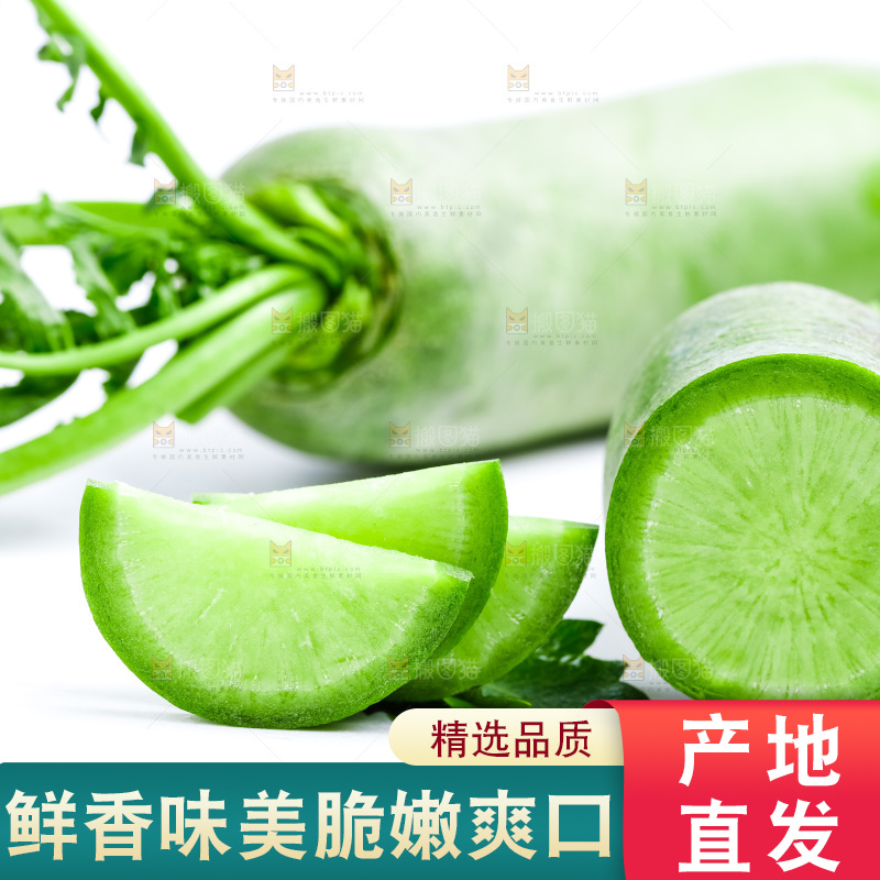 白底上的水果萝卜