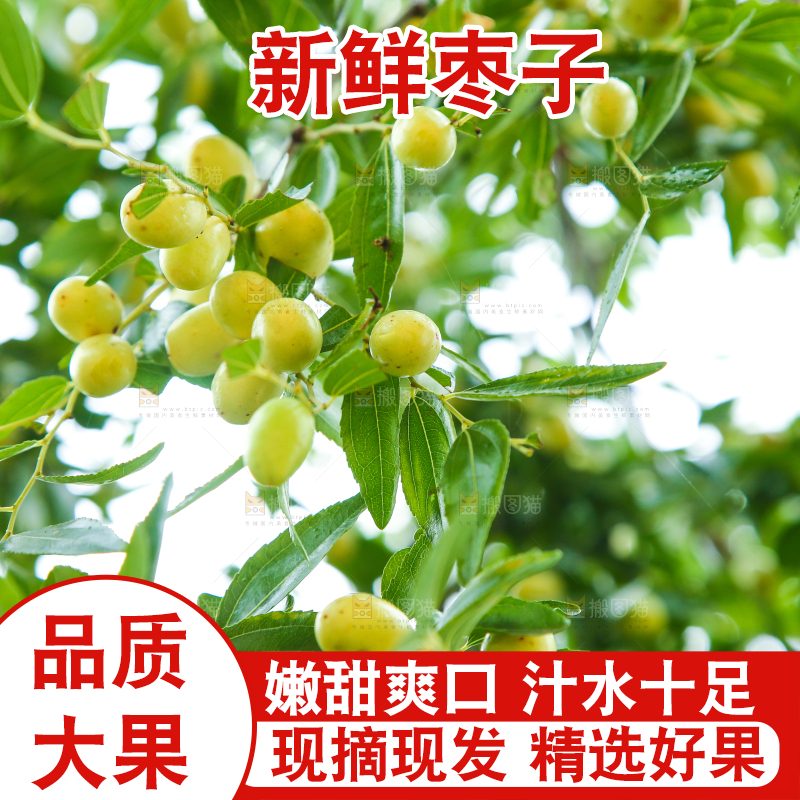 树上的枣子
