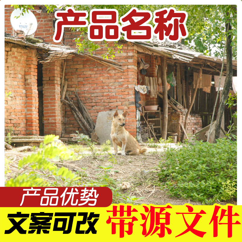 房子门口的狗