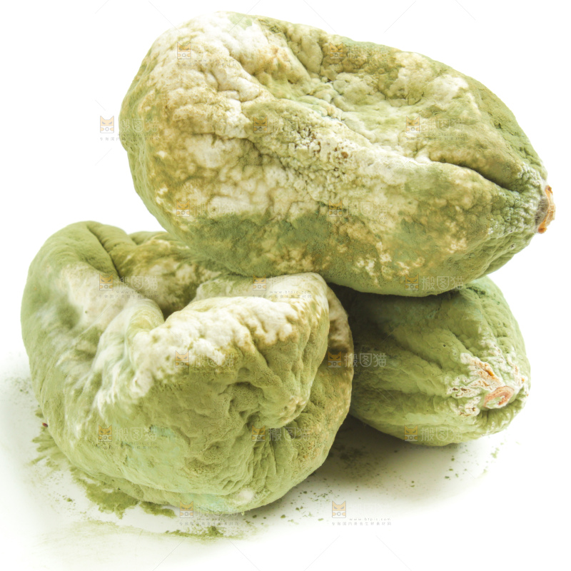 白底上放着发霉的柠檬