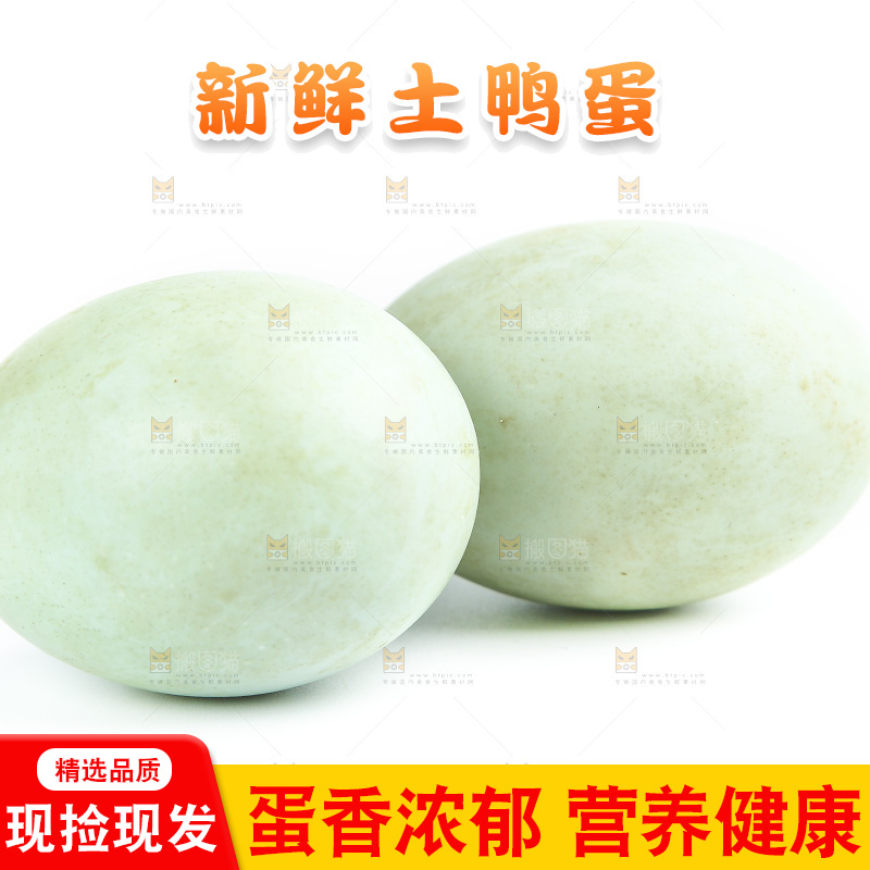 白底上的新鲜鸭蛋