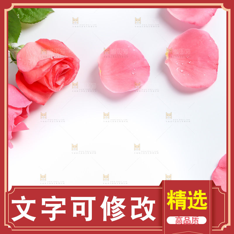 白底上的玫瑰花瓣