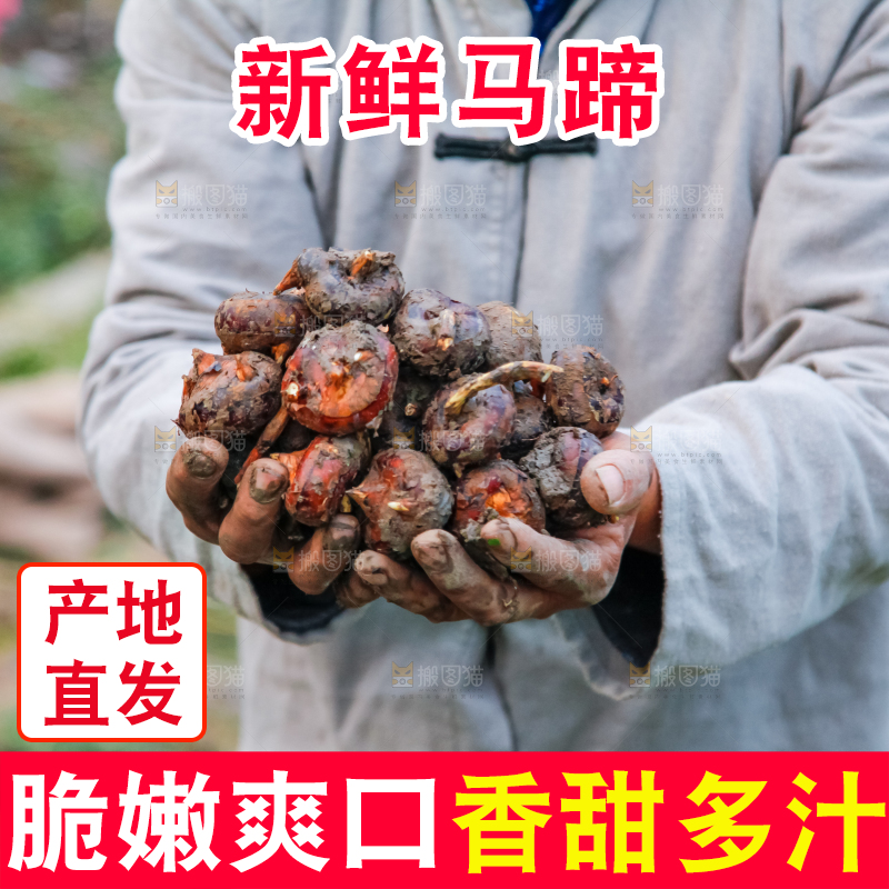 农民手里捧着新鲜马蹄