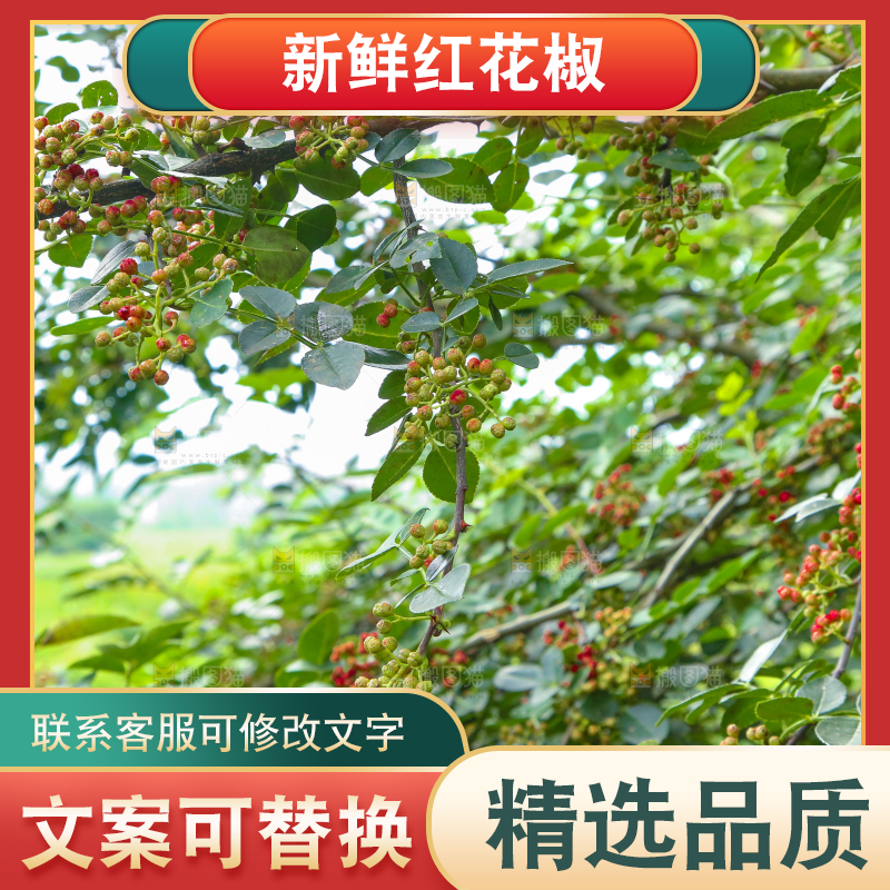 树上的花椒