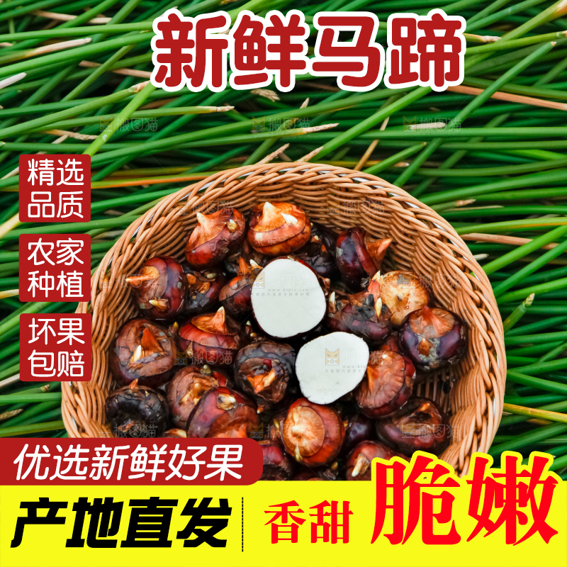 篮子里装着马蹄