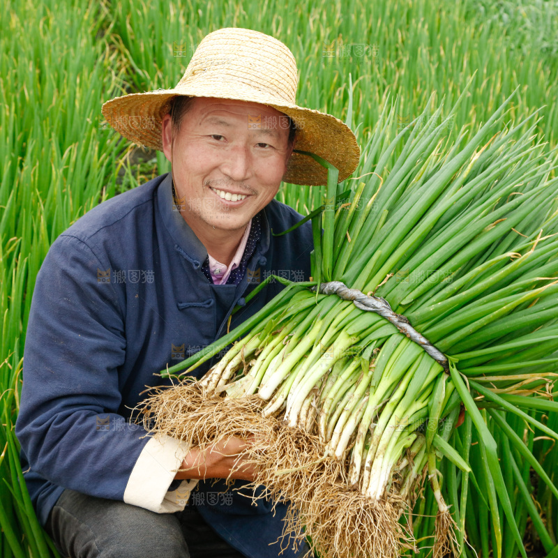 农民手里拿着大葱