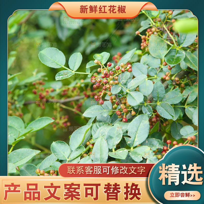 树上的花椒
