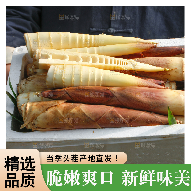 箱子里的雷笋