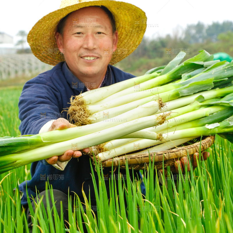 农民手里拿着大葱
