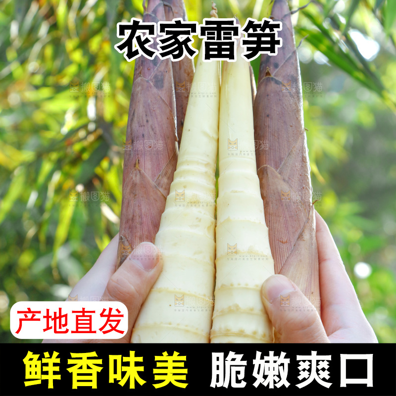 手里拿着雷笋