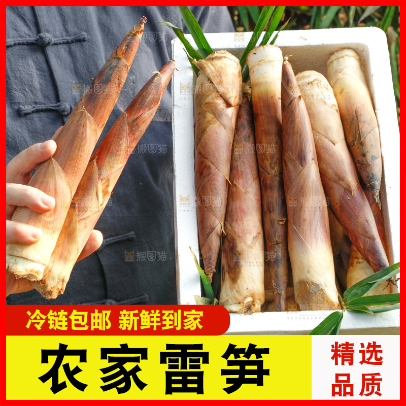箱子里的雷笋