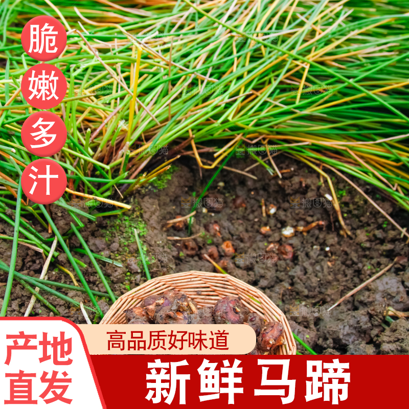 户外的马蹄田