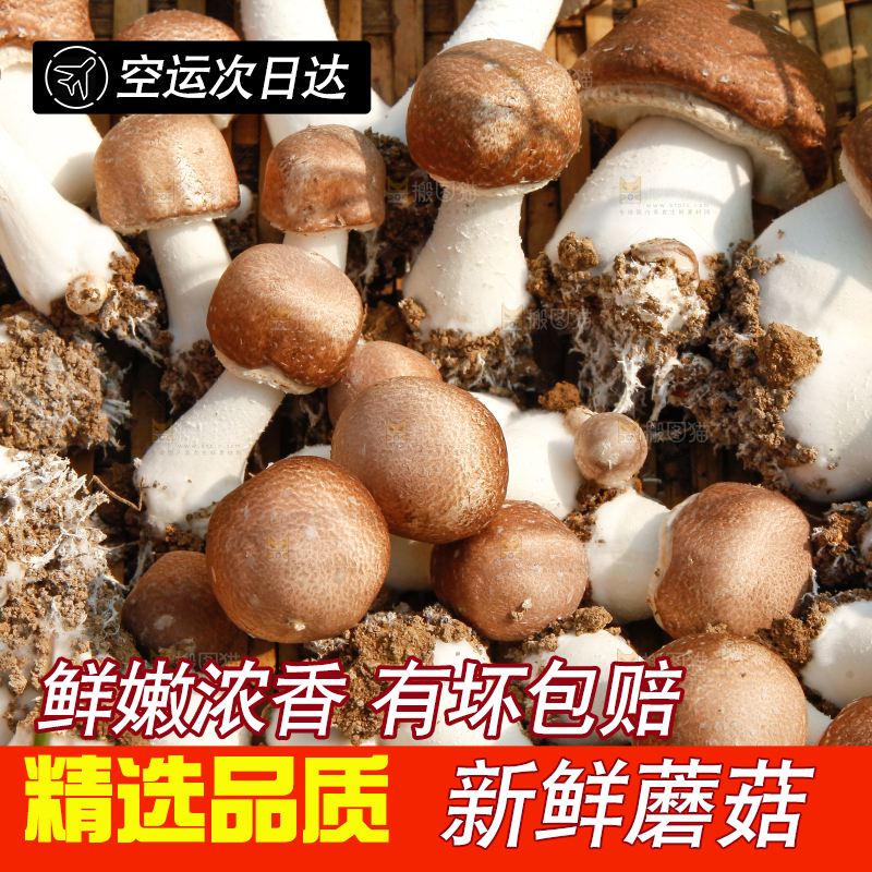篮子里装着香菇