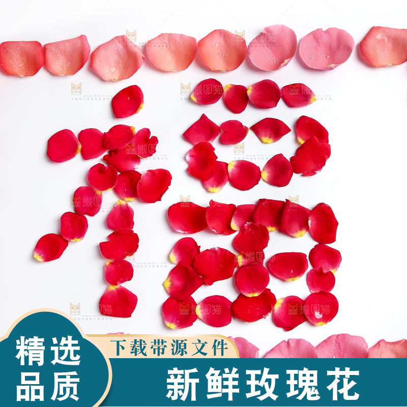 白底上的玫瑰花瓣