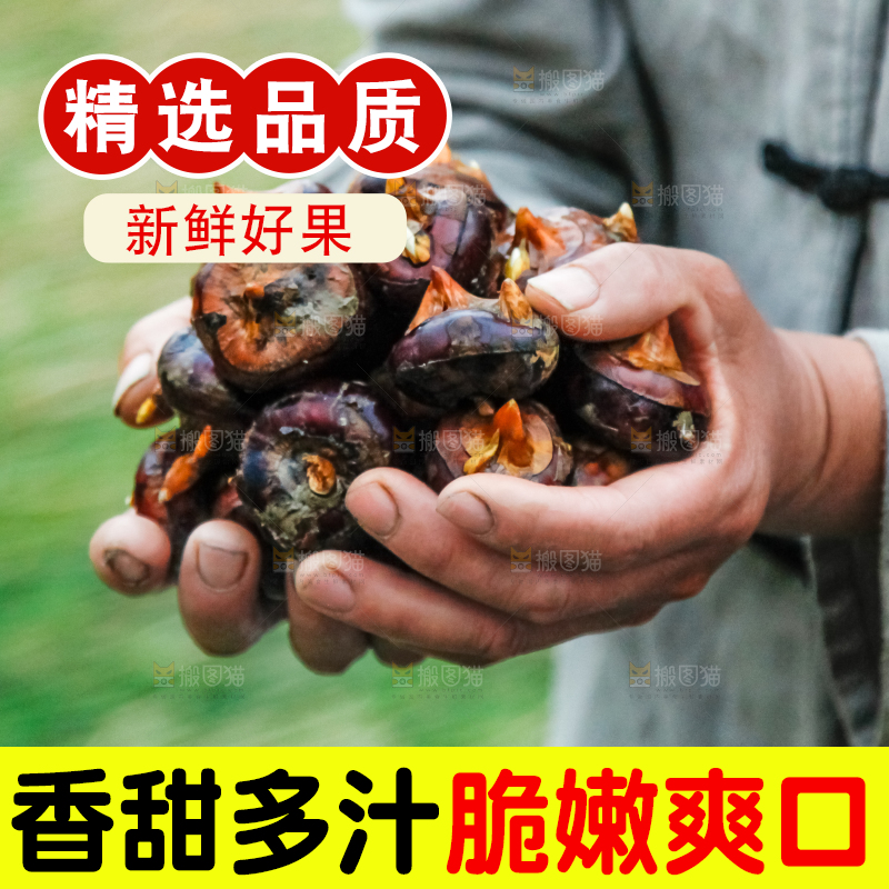 农民手里捧着新鲜马蹄