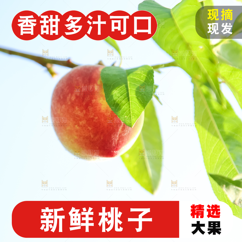 树上挂着桃子