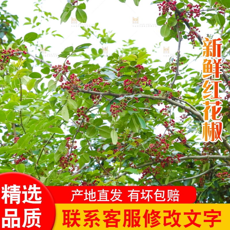 树上的花椒