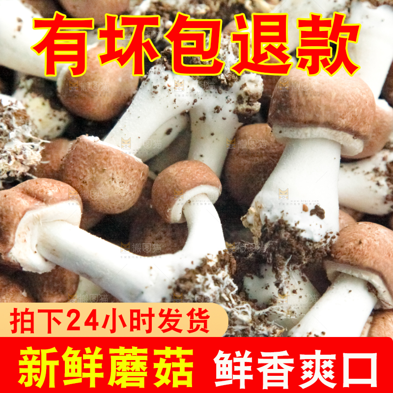 框子里装着小蘑菇