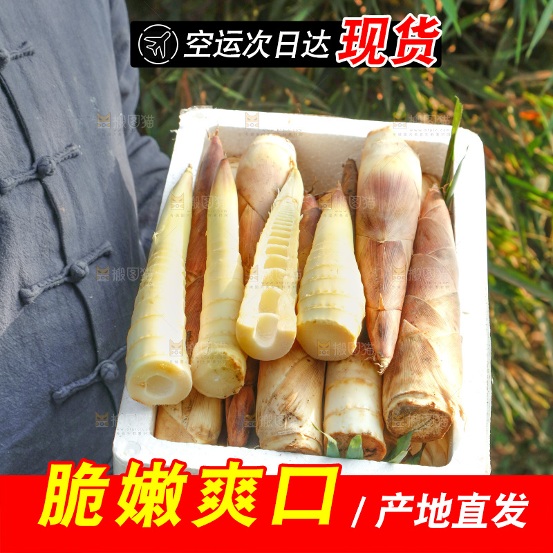 箱子里的雷笋