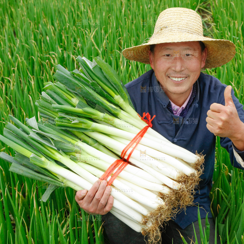 农民手里拿着大葱