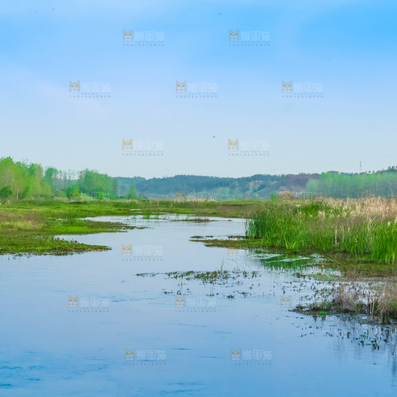 一条清澈的河流