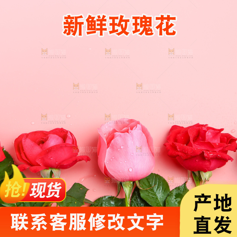 浅底上的玫瑰花