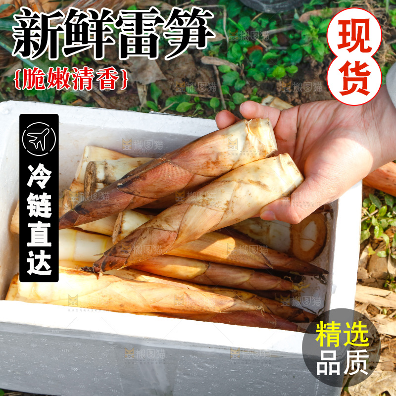 箱子里的雷笋