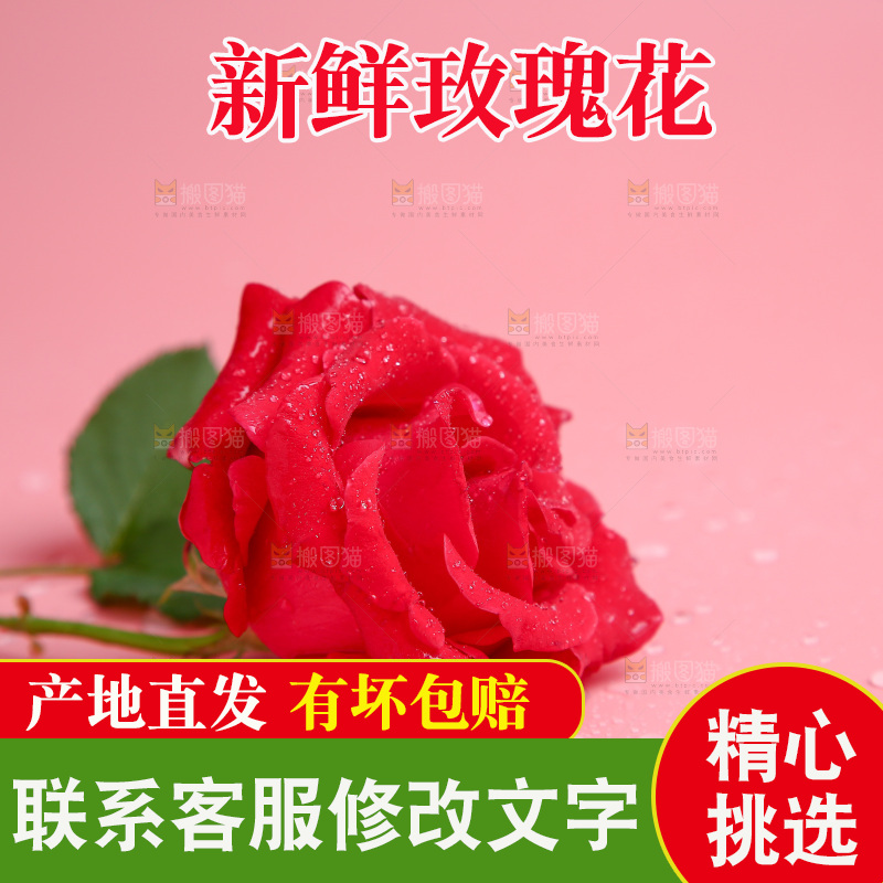 浅底上的玫瑰花
