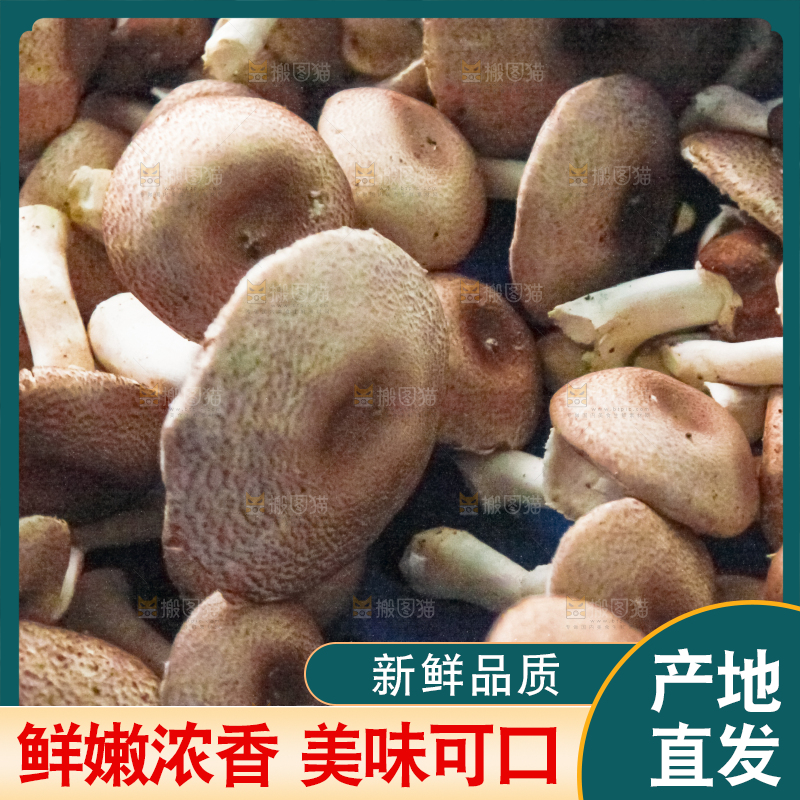 框子里装着小蘑菇