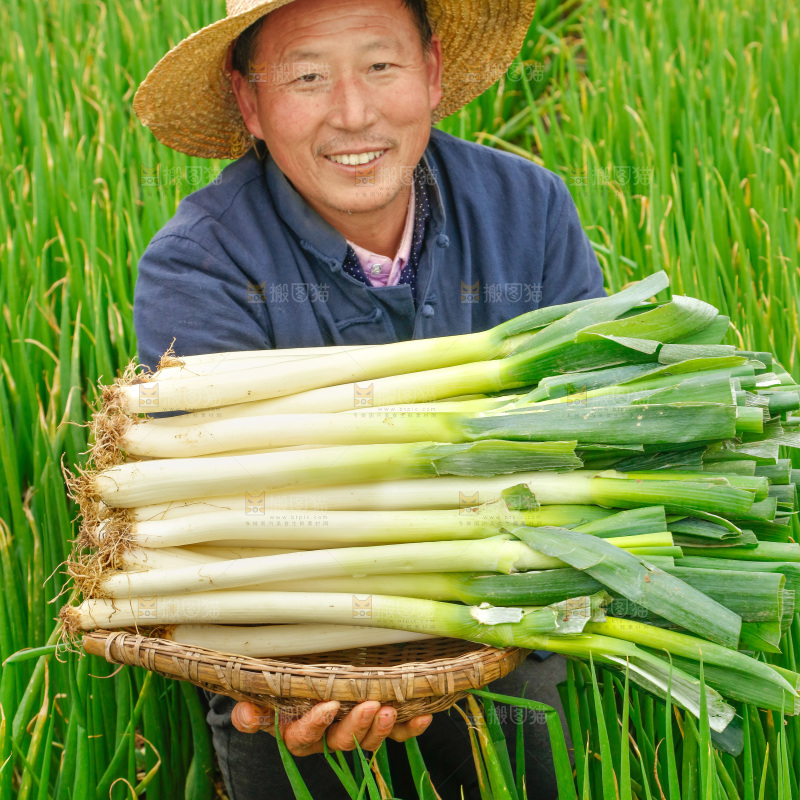 农民手里拿着大葱